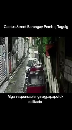 Pagsabog sa Cactus St. Pembo: Mag-ingat sa Paputok