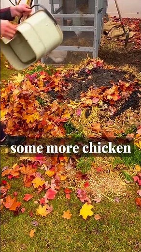 Easy Hot Compost in 10 Minutes or Less