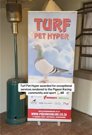 Turf Pet Hyper Wins Awards at Gauteng Pigeon Racing Gala