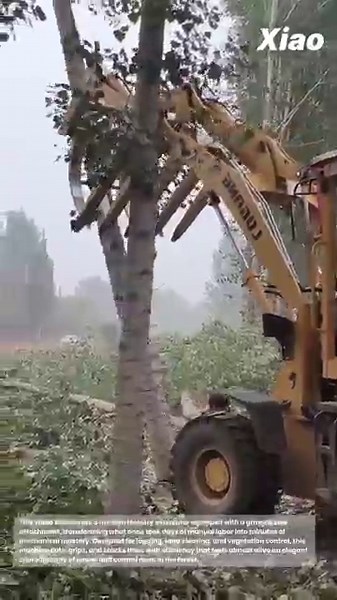 Incredible Excavator Clears Land with Grapple Saw: Modern Forestry Machine in Action
