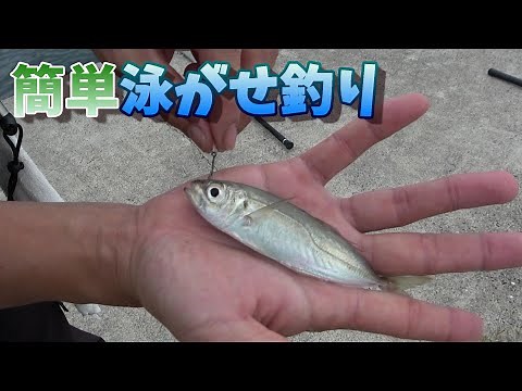 [Live bait fishing] I caught a big one using a method that even beginners can easily do.
