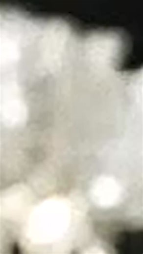 412K views · 8.1K reactions | How Avengers Tower Looks in 2025 #shorts #movies #tonystark #avengers #marvel #marvelcomics #mcu | Filmy Head | Facebook