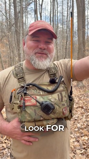 Most People Misread Crooked Trees