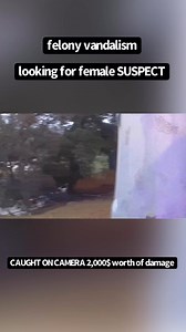 20K views · 139 reactions | Female Breaks My House Window! | Coby Persin | Facebook