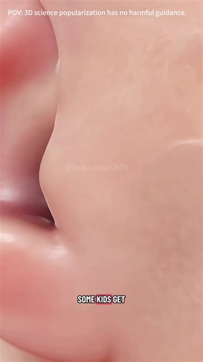 Understanding Ear Tube Placement: A 3D Animation Guide