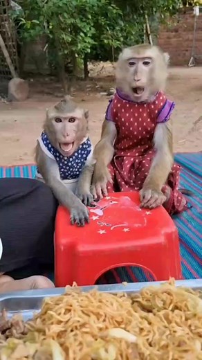 Lyly calling!!mom hurry up 🤤I’m so hungry 😋 | YaYa Note