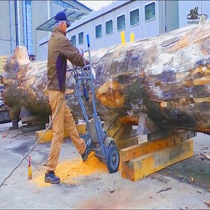 447K views · 1.6K reactions | Amazing Huge Logs Sawmill in Japanese Style Cr: Machinery and Technology | Machinery and Technology | Facebook
