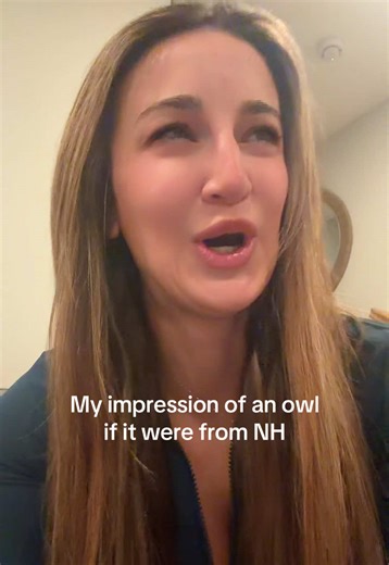 If I was an owls in NH 🦉#owl #nh #newhampshire #smalltown | Impression Of An Owl