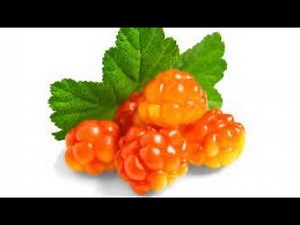 Meet The Rare Arctic Berry: Cloudberry