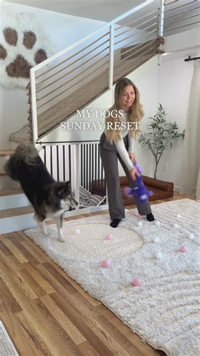 The Husky Fam | Kakoa & Sky love a good Sunday reset 🧼🫧🧹 especially when it includes @openfarmpet food #dog #sunday #reset #openfarmpartner | Instagram