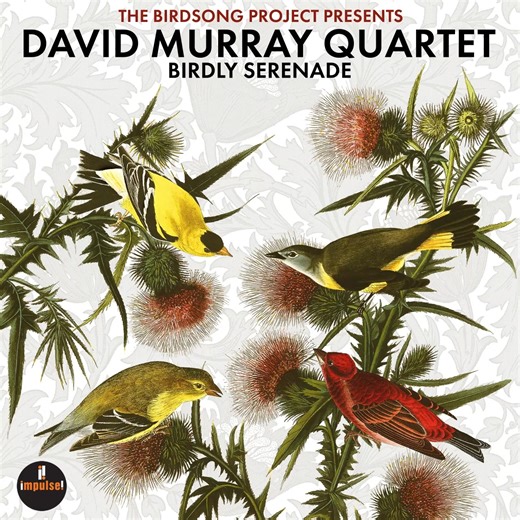 26K views · 289 reactions | Need a birdy tune for the weekend? Our partners at The Birdsong Project present a new album with renowned jazz artist David Murray called “Birdly Serenade.” This collection of eight original compositions is inspired by the original improvisors—birds. The album is out now with its focal piece Bird’s The Word: https://bit.ly/4cXhlnu | National Audubon Society | Facebook