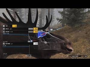 Cabela's Big Game Hunter: Pro Hunts - Hunt three moose (Head and Lung shots)