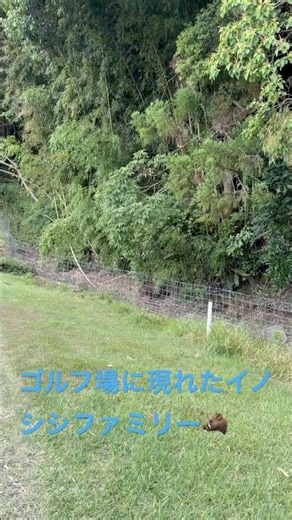 2026年6月13日