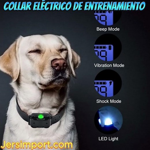 Collar De Entrenamiento Para Perros