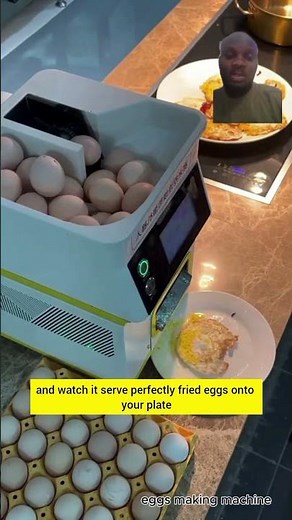 This is a luxury egg making machine for 2025