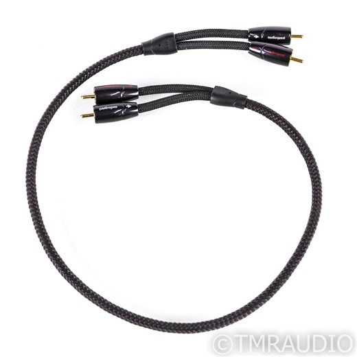 AudioQuest Big Sur RCA Cables; 2ft Pair Interconnects