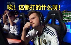 ENCE用最后一刀，结束了VITALITY的MAJOR旅程！阿杜无奈，魔男痛苦，ZYWOO只能摇摇头！