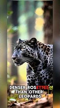 15 Shocking Facts About the North Chinese Leopard You Never Knew #animalfacts #youtubeshorts