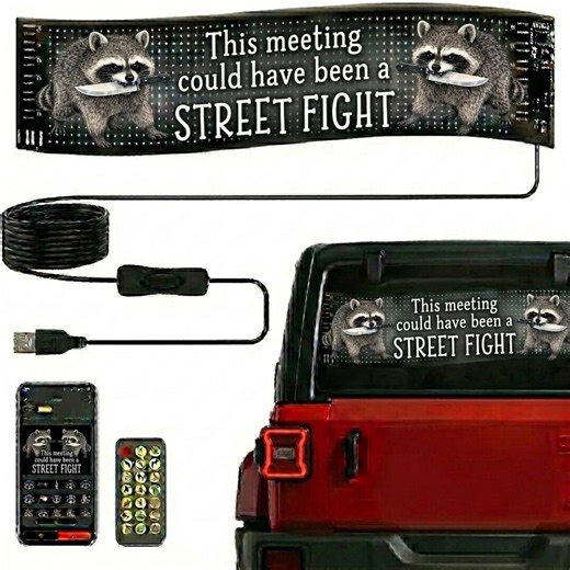 Raccoon LED Car Sign, Programmable RGB Matrix Display, App Controlled Window Decor, This Meeting Could Have Been a Street Fight Sticker. - Etsy