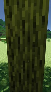 Minecraft: what if a tree falls? 🤔🌳 🏠 Addons Maker #mam #addonsmaker #minecraft #minecraftideas #minecraftpe #mcpeaddons #minecraftbuilding #mcpe #minecraftmemes | AddOns Maker