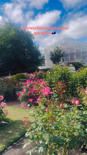 2.7K views · 57 reactions | Christchurch botanical Gardens, New Zealand  The Christchurch Botanic Gardens are absolutely stunning!  The gardens have over 70 hectares of beautiful gardens, including a rose garden, a Japanese garden, and a tranquil lake. Great choice, Have you visited the gardens recently? | Banun In New Zealand | Facebook