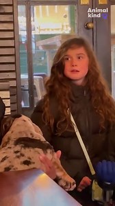 You get a puppy and you get a puppy and you get a puppy! 🐶 | Humankind