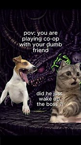 POV: Playing Co-op With THAT Friend