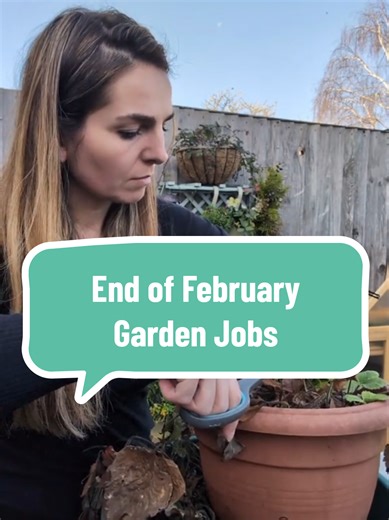 End of February Gardening Tasks You Can't Miss! 🌱