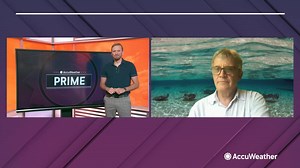 2.3K views · 34 reactions | Experts say sharks never deliberately target humans, so knowing what tends to lead to attacks can help keep you safe on your trip to the beach. | AccuWeather | Facebook