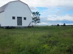 Ashes Of Love--Lloyd Snow