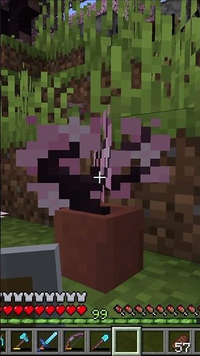 Cherry Saplings Look Great in Flower Pots in Minecraft