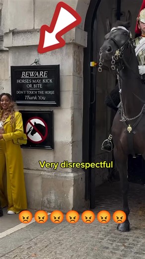 Veronica Trajano | It's not cool to behave like that, you're not polite.😡😡😡😡 #kingsguardslondon #Kingguards #fypシ゚viralシ #fyoupageシ #horses | Instagram