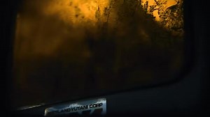 "This ship collected five different life forms from the darkest corners of the universe. Each one a unique, deadly species." Via IGN. #AlienEarth #AlienDay #xenomorphfanspage | Xenomorph Fanspage