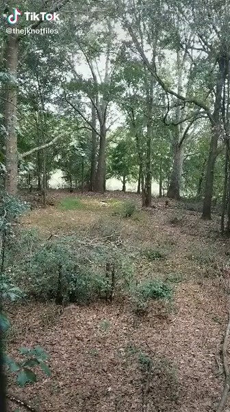 Barnett Expedition Xp350 Crossbow: Whitetail Buck Hunt