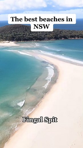 The Somewhere Tribe on TikTok