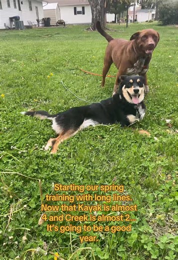 Kayak & Creek (@kayakandcreek)’s videos with Who Let The Dogs Out - Original - The Doggies