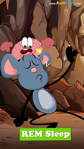 Like Humans, do Animals also Dream? | #chumpum #kids #shorts #science