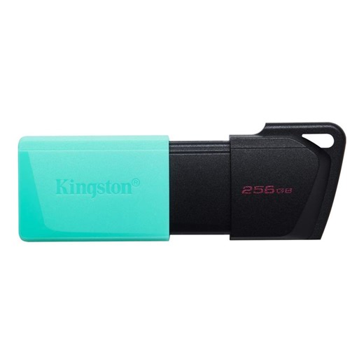 MEMORY DRIVE FLASH USB3.2256GB DTXM...
