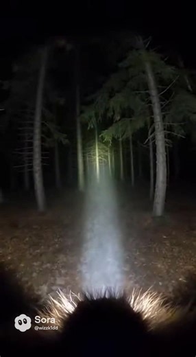 Hunting the wendigo Bigfoot
