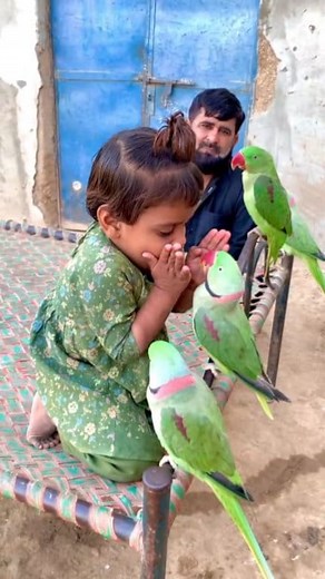 Eliza is kissing the parrot #funny #parrotlovers | parrot shorts