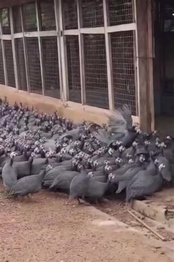 How to Protect Yourself from Scammers Effectively