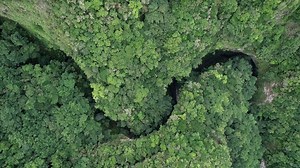 Sustainable investing: resilience amid uncertainty