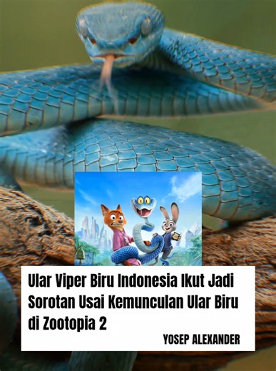 Ular Biru Alami: Keindahan dan Bahaya Blue Viper