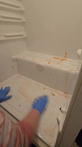 38K views · 1.1K reactions | Good fridge deep clean #cleaningmotivation #housecleaning #cleanwithme #kitchencleaning #cleaning #DeepCleaning | Cleaning with Bre | Facebook