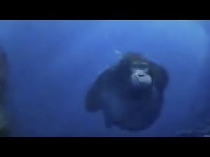 Life Could Be a Dream Meme