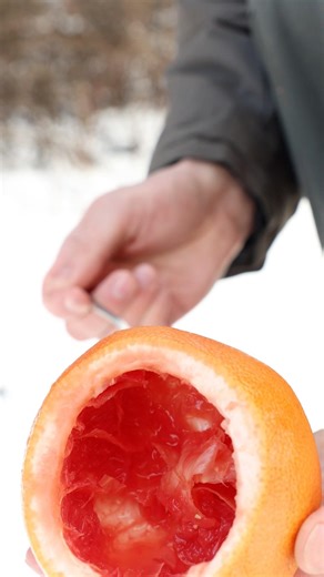 No Cup? No Problem. Grapefruit Tea 🍵🌿