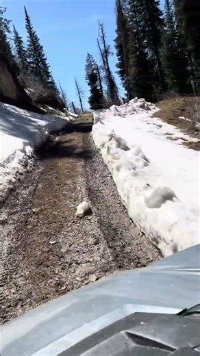 Early Spring Off-Road: Snow, Mud, and Mountain Views #4x4 #challenge #adventure