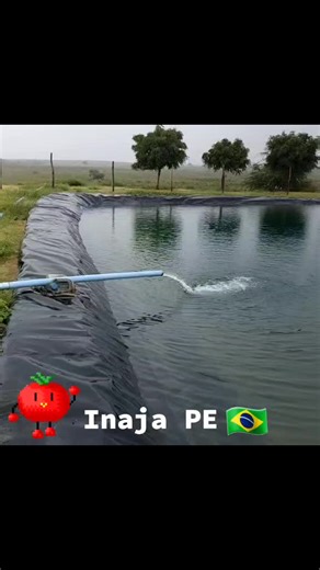 Innovative Irrigation Techniques in Brazilian Agriculture