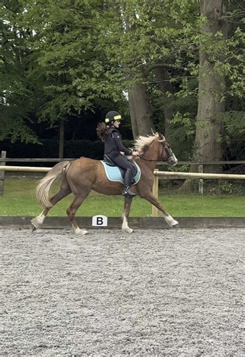 First Canter Experience on a New Pony