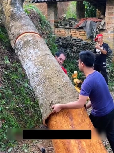 គ្រឿងទេសសំខាន់ៗទាំង 8 មុខ៖ អាថ៌កំបាំងនៃម្ហូបខបែបប្រពៃណីចិន